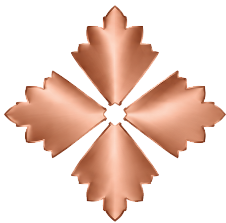 Home new icon5